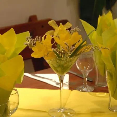 Apartcomplex New Tawn Апартамент Обзор